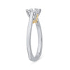 Diamond Princess Engagement Ring